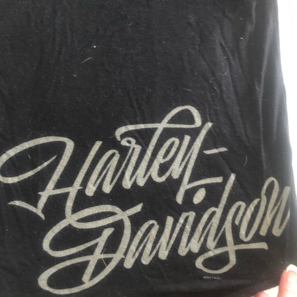 Harley Davidson tank - Picture 2 of 4